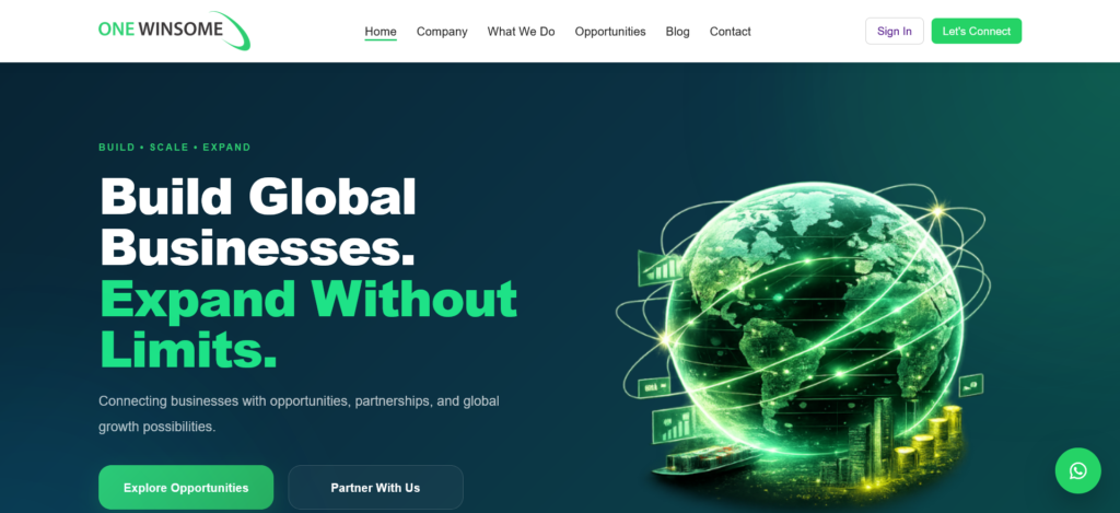 Onewinsome web site 2026
